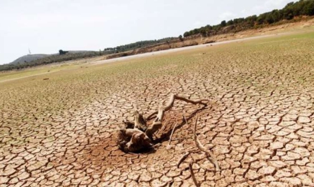 Climat: “Les efforts ne porteront pas leurs fruits avant 2030-2040″