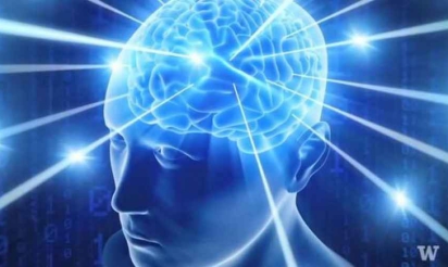 Des chercheurs réussissent à faire communiquer deux cerveaux par télépathie