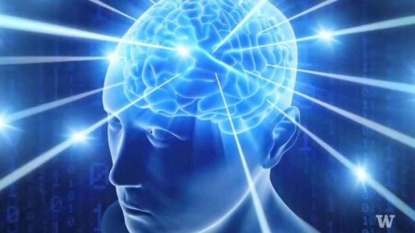 Des chercheurs réussissent à faire communiquer deux cerveaux par télépathie