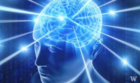Des chercheurs réussissent à faire communiquer deux cerveaux par télépathie