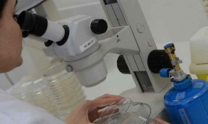 Manifestations jeudi pour l’enseignement supérieur et la recherche