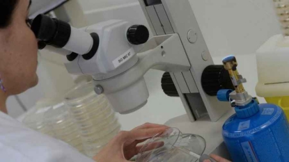 Manifestations jeudi pour l’enseignement supérieur et la recherche