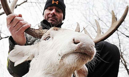 Un chasseur américain menacé après avoir abattu un cerf albinos