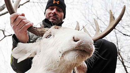 Un chasseur américain menacé après avoir abattu un cerf albinos