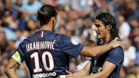 Ibra-Cavani, tout va bien