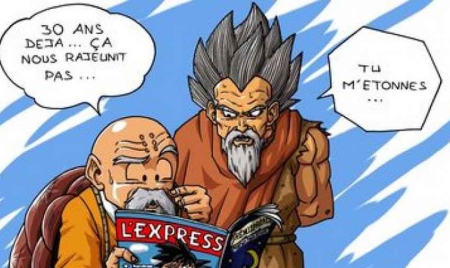 Dragon Ball Multiverse des passionnés français inventent la suite de DBZ