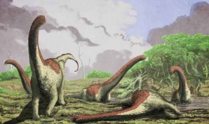 Le plus ancien dinosaure à corne des Etats-Unis avait la taille d’un corbeau