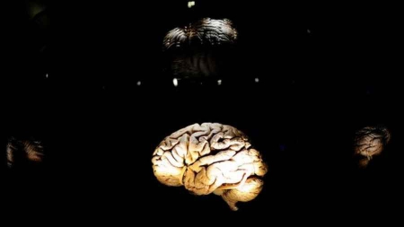 Ces métiers qui protègent le cerveau