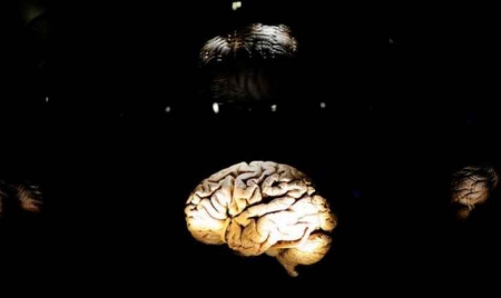 Ces métiers qui protègent le cerveau