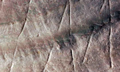 Voici la plus ancienne gravure humaine, vieille de 500 000 ans