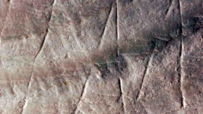 Voici la plus ancienne gravure humaine, vieille de 500 000 ans