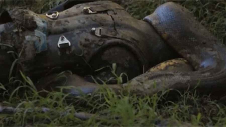 Il se fait avaler par un anacaonda et ressort vivant