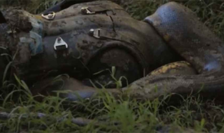 Il se fait avaler par un anacaonda et ressort vivant