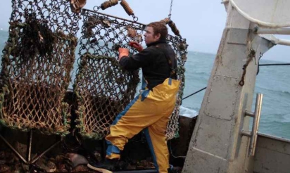 L’UE ferme jusqu’en avril la pêche au bar pour assurer sa survie