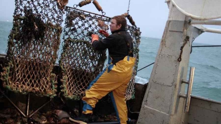 L’UE ferme jusqu’en avril la pêche au bar pour assurer sa survie
