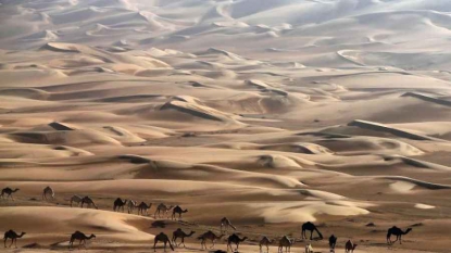 2014, année la plus chaude sur le globe depuis le début des relevés de températures