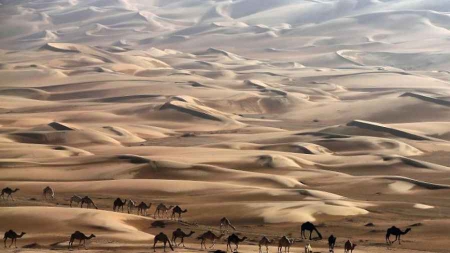 2014, année la plus chaude sur le globe depuis le début des relevés de températures