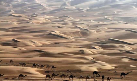 2014, année la plus chaude sur le globe depuis le début des relevés de températures