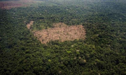 Brésil: le roi de la déforestation illégale en Amazonie est sous les verrous