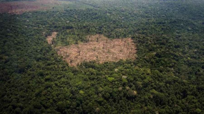 Brésil: le roi de la déforestation illégale en Amazonie est sous les verrous