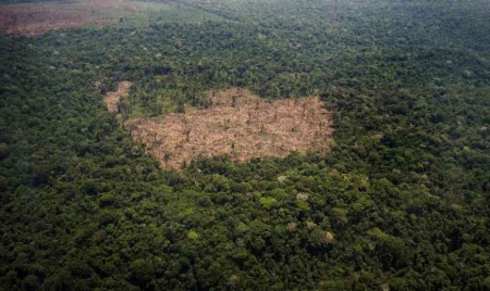 Brésil: le roi de la déforestation illégale en Amazonie est sous les verrous