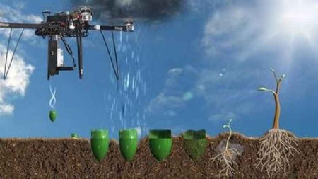 Il veut planter un milliard d’arbres avec des mitraillettes à graines