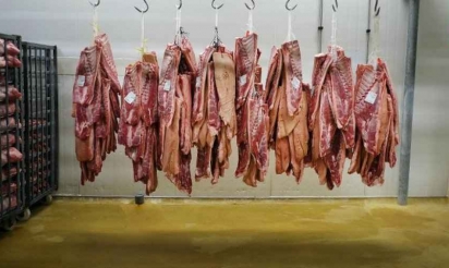 Trafic de viande de cheval : 26 arrestations en Europe