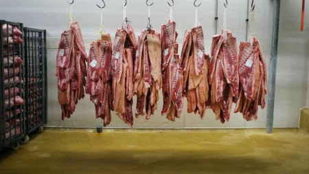 Trafic de viande de cheval : 26 arrestations en Europe