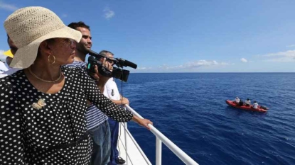 La Réunion: moyens supplémentaires et feu vert à la pêche aux requins