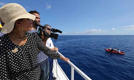La Réunion: moyens supplémentaires et feu vert à la pêche aux requins