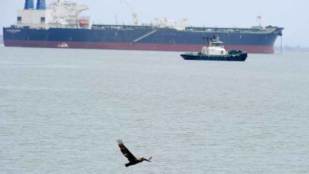 Environnement: les océans valent 24.000 milliards de dollars, selon le WWF