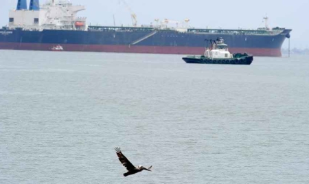 Environnement: les océans valent 24.000 milliards de dollars, selon le WWF