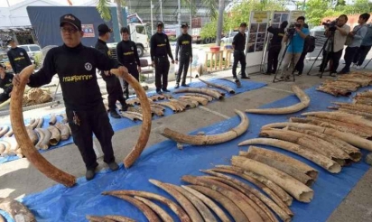 Thaïlande: saisie de plus de 3 tonnes d’ivoire africain