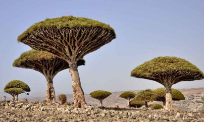 Les 10 endroits les plus incroyables du monde