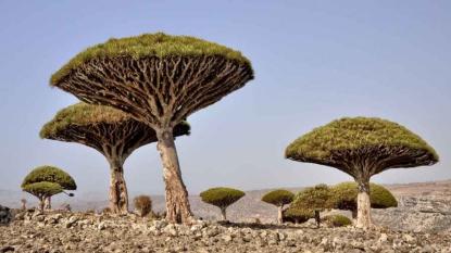 Les 10 endroits les plus incroyables du monde