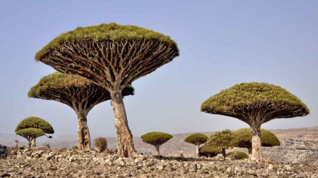 Les 10 endroits les plus incroyables du monde