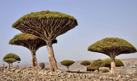 Les 10 endroits les plus incroyables du monde