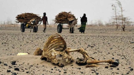 Face au changement climatique, l’Afrique, première victime, peut devenir un modèle à suivre