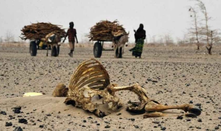 Face au changement climatique, l’Afrique, première victime, peut devenir un modèle à suivre