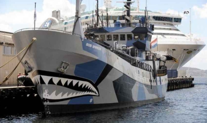 Chasse aux cétacés: Sea Shepherd en campagne aux îles Féroé
