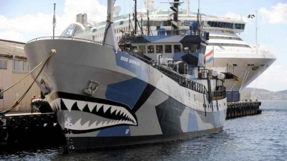 Chasse aux cétacés: Sea Shepherd en campagne aux îles Féroé