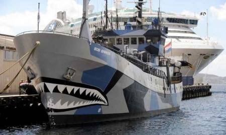 Chasse aux cétacés: Sea Shepherd en campagne aux îles Féroé