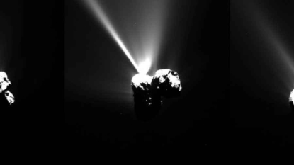 Tchouri doit sa forme de canard de bain à une fusion entre deux corps