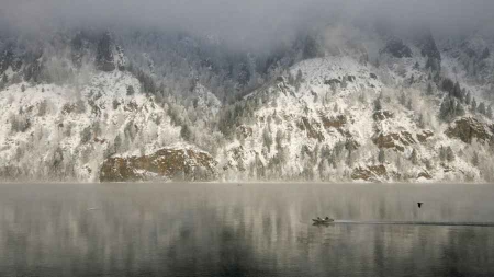 Un virus géant découvert dans le permafrost en Sibérie