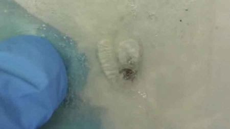 Etats-Unis : des chimistes développent un matériau capable de se reboucher tout seul