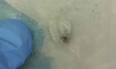 Etats-Unis : des chimistes développent un matériau capable de se reboucher tout seul