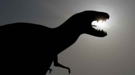 Mais qui a vraiment tué les dinosaures?