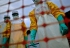 La Sierra Leone célèbre la fin de l’épidémie d’Ebola