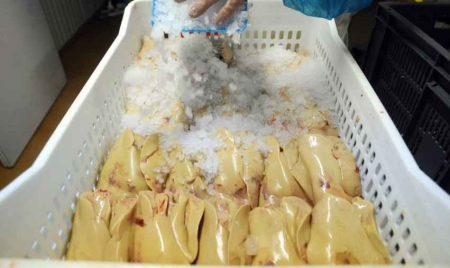 Grippe aviaire: pas de panique chez les producteurs de foie gras