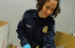 Etats-Unis: avant la Saint-Valentin, les fleurs importées passées au peigne fin